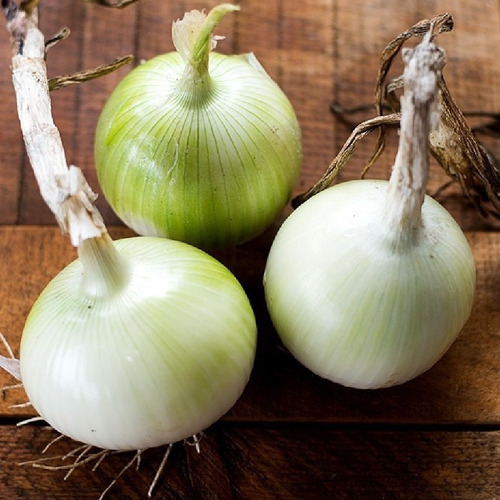 40 Sementes De Cebola White Sweet Spanish Onion