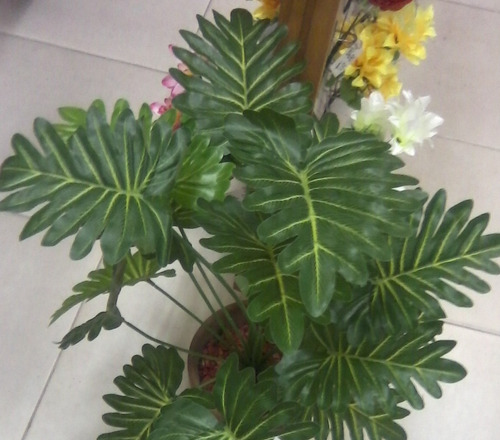 Imagen 1 de 10 de Aralia 18 Hojas 70 Cm - Plantas De Interior Artificiales