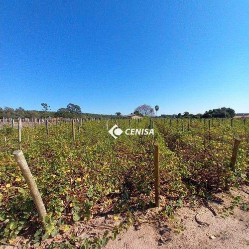 Imagem 11 de 12 de Sítio Com 5 Dormitórios À Venda, 26000 M² - Condomínio Rio Negro- Indaiatuba/sp - Si0013