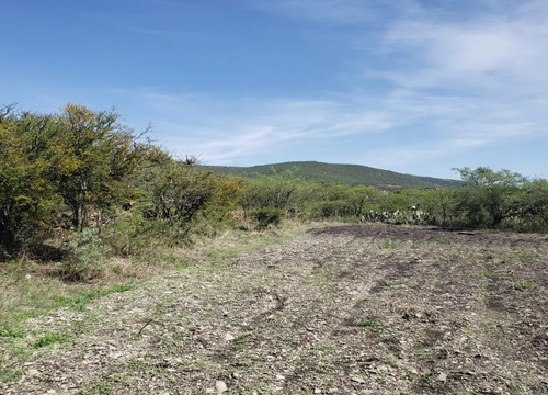 Terreno En Venta En Pie De Gallo