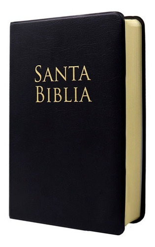 Biblia Cristiana Reina Valera 1960 Letra Grande - Negro