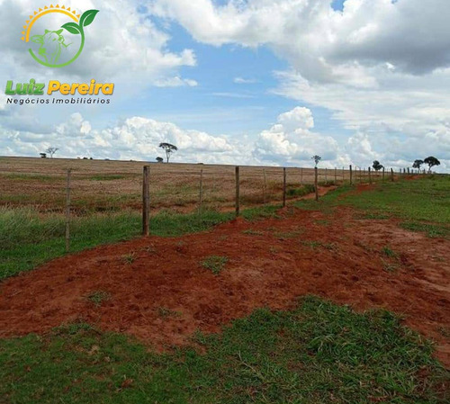 Imagem 2 de 9 de Fazenda À Venda Em Antonio João - Ms - De 818 Hectares (dupla Aptidão) - 1749