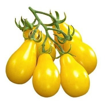 Semillas De Tomate Pera Amarillo (yellow Pear)