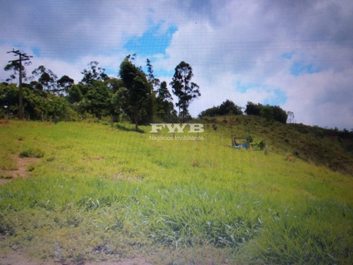 Imagem 13 de 28 de Fazenda Em Rio Preto Minas Gerais - 2044007423 - 67629041
