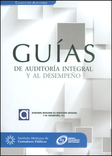 Guías De Auditoría Integral Y Al Desempeño