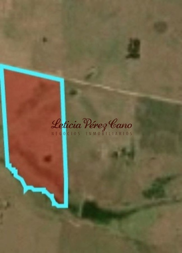 Imagen 7 de 7 de Venta De Chacra 15 Has En San Carlos, Maldonado