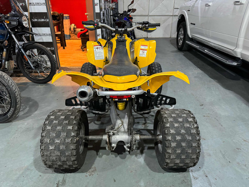 Can-am Ds