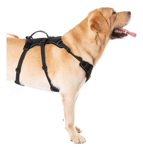 Arnés Para Perro Coodeo Ajustable Con Asa