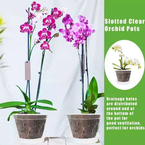 Maceta Para Plantar Orquídeas De 5 Piezas Con Agujeros Y Ban