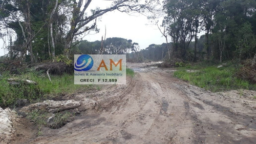 Imagem 9 de 12 de Terreno A Venda No Bairro Centro Em Matinhos - Pr. - 343-1