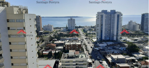 Apartamento En Punta Del Este, Brava