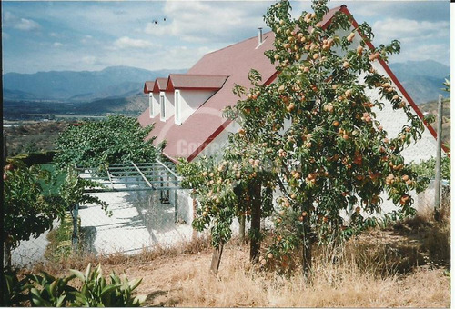 Imagen 5 de 13 de Sitio En Venta En Curacaví