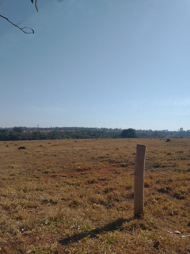 Imagem 12 de 13 de Fazenda Para Pecuária A Venda Na Região De Itapagipe / Campina Verde-mg, Com 57,5 Alqueirao, Benfeitorias Completas, Rio E Represa - Fa00395 - 70075361