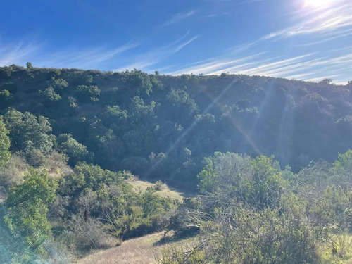 Parcela En Venta En Algarrobo, San José, Las Dichas