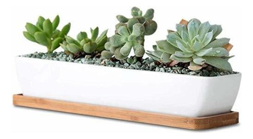 Macetas Suculentas De Ceramica Blanca Rectangulo 