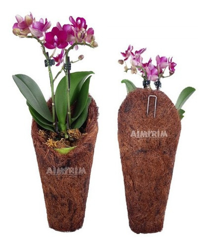 3 Vasos Fibra De Coco Forma Cone Plantas Orquídeas Decoração