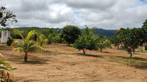 Imagem 17 de 20 de Fazenda Na Região De Rosário Oeste -mt