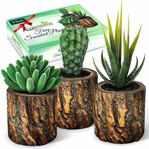 Plantas Suculentas Artificiales En Maceta Y Cactus Falso - J