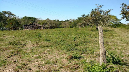 Vendo Rancho Ganadero 223 Hectáreas Temapache Veracruz