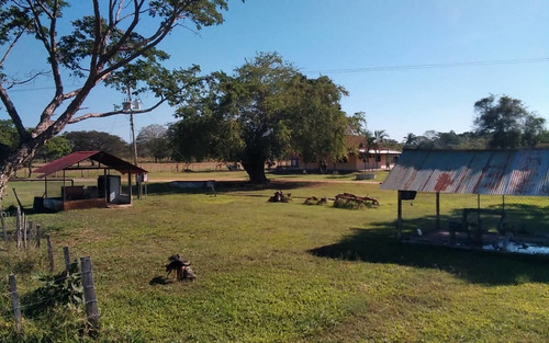 Imagen 6 de 24 de Finca En Barinas A Orilla De La Carretera