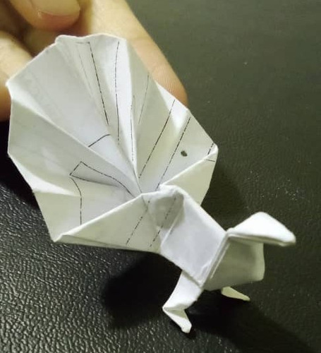Origami De Pavo Real