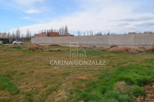 Imagen 16 de 16 de Venta Terreno 996m2 Apto Desarrollo Confluencia Rural Neuquén