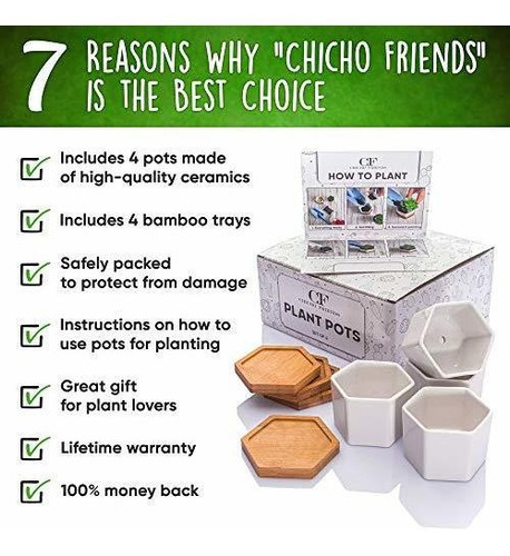Imagen 2 de 8 de Chicho Friends - Macetas Pequeñas Para Suculentas - Juego D