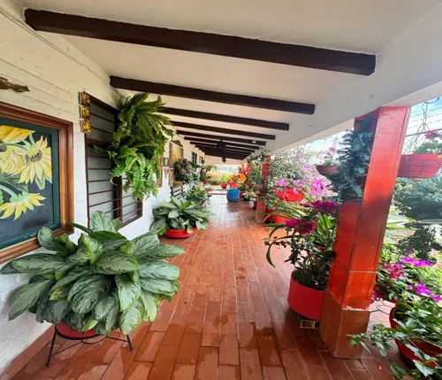 Venta De Casa En El Queremal Valle Del Cauca