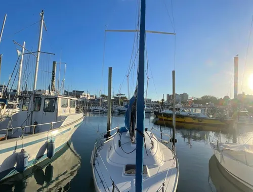 Velero Fm 800