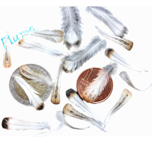 Mini Plumas Naturales Ideal Artesanías, Llaveros, Bijuoterie