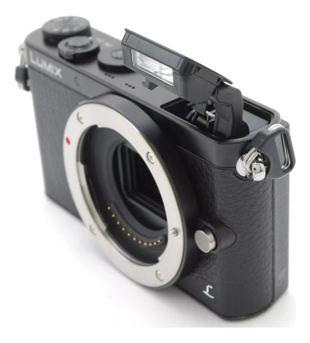 Lumix Gm1 Negro (Usado)
