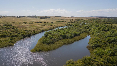 Imagen 7 de 10 de Campo - José Ignacio