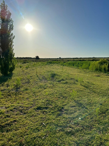Imagen 8 de 17 de Vendo Campo De 300ha, San Rafael, Mendoza