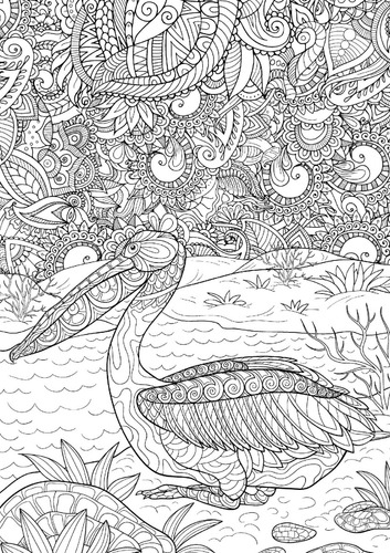Australian Natives | Libro Anillado Colorear Pintar | Thoc