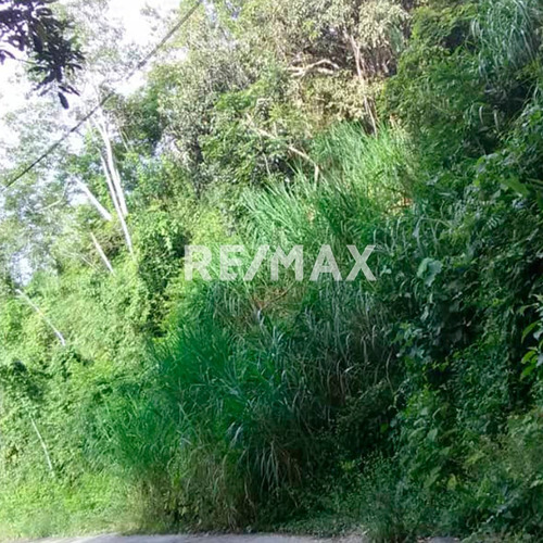 Imagen 3 de 5 de En Venta Terreno En El Amarillo