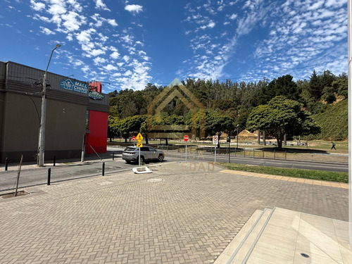 Moderno Y Luminoso Depto. Con Vista Panorámica En Concepción