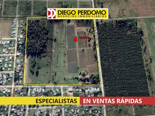 Imagen 3 de 12 de Chacra De 13.8 Ha En Venta. Ciudad Del Plata