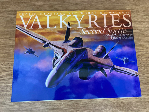 Tenjin Hidetaka Obras De Arte De Macross Valkyries(segundo)