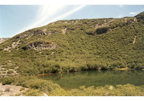 En Venta 2.355 Hectáreas, Sector Precordillera Los Ángeles