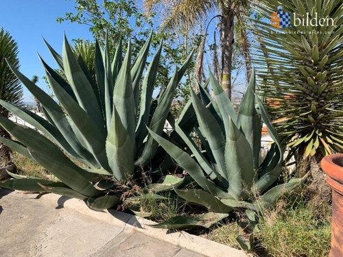 Imagen 8 de 12 de Rancho En Venta Salida México