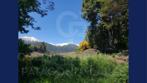 Imagen 4 de 14 de Venta Lote/terreno 8325 M2 Barrio Epulafquen Vista Al Lago Excelente Ubicación Villa La Angostura