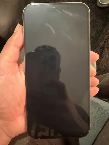 Apple iPhone 14 Pro Max (256 Gb) - Color Oro (Usado)
