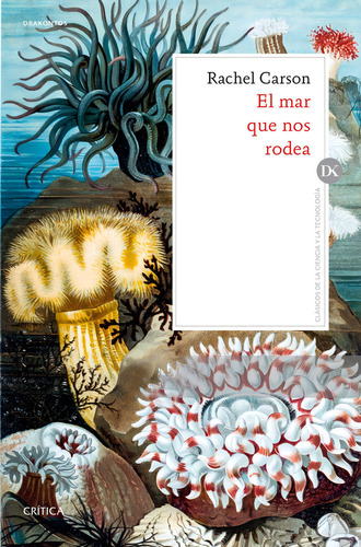 Mar Que Nos Rodea,el - Rachel Carson