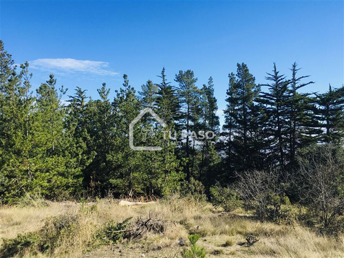 Sitio En Venta En Pichilemu