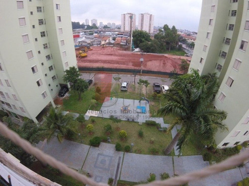 Apartamento - Vila Graciosa - Ref: 9373 - V-9373