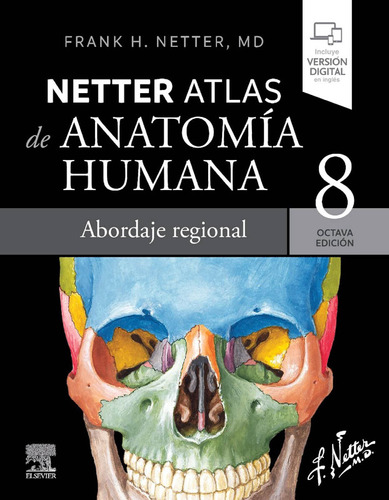 Netter Atlas De Anatomía Humana. Abordaje Regional