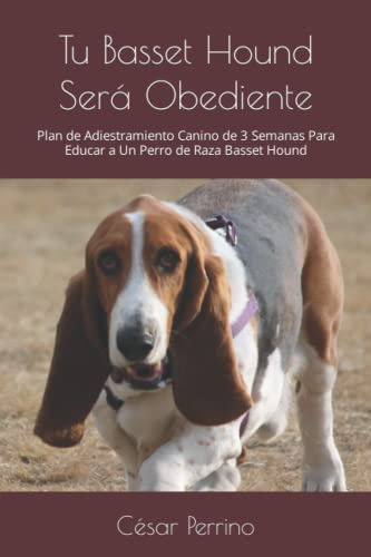 Tu Basset Hound Sera Obediente: Plan De Adiestramiento Canin