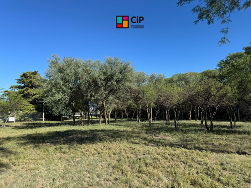 Venta De Lotes Sobre Ruta 1, Los Molles
