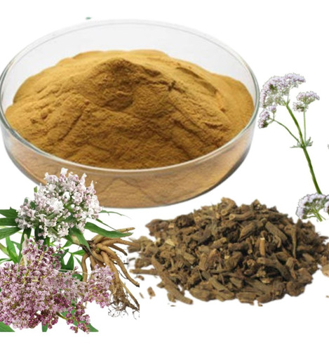 Valeriana Extracto Raíz 1 Kg - Certificada