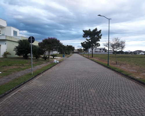 Imagem 5 de 7 de Terreno Para Venda - 1317